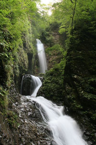 竜化の滝