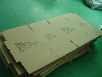 DSC00906.JPG