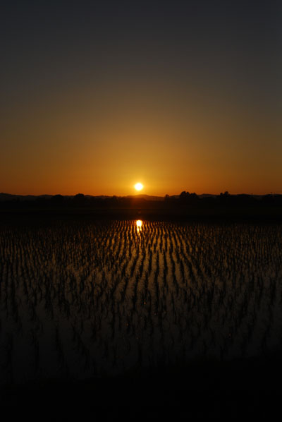 上手く撮れない夕日