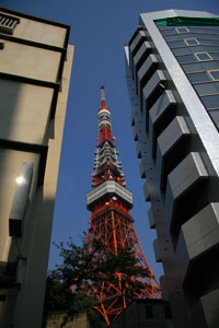 ビルの間から東京タワー