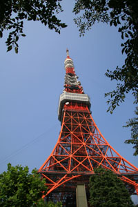 木々の中に東京タワー